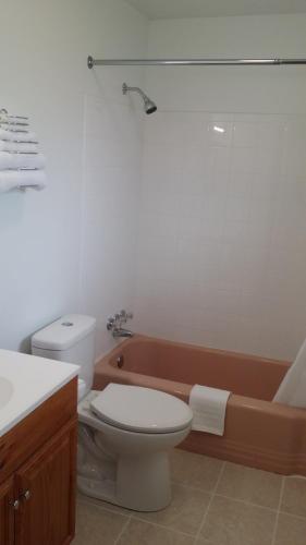 a bathroom with a toilet and a bath tub at Budget Inn Breezewood in Breezewood