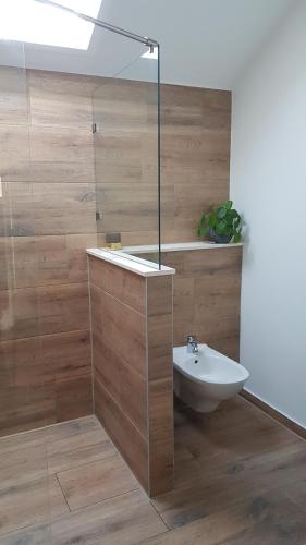 een badkamer met een douche, een wastafel en een toilet bij Prachtige woning aan de duinen in Den Helder