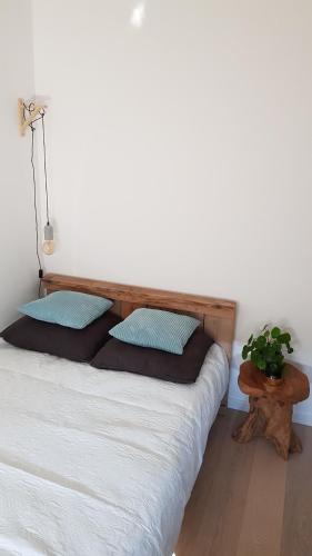 een bed met twee kussens en een tafel met een plant bij Prachtige woning aan de duinen in Den Helder