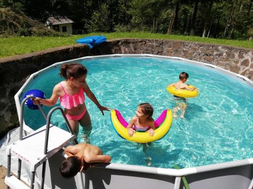 un grupo de niños jugando en una piscina en Cabana Sestina, en Salard