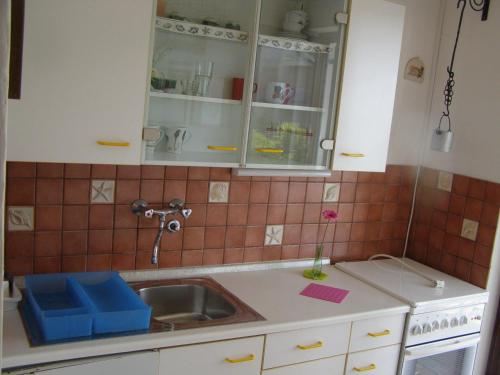 Kuchyň nebo kuchyňský kout v ubytování House Kaić