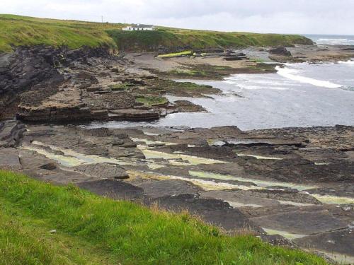 a rocky shoreline with the ocean and green grass at Ocean Heights B&B in Lissadell