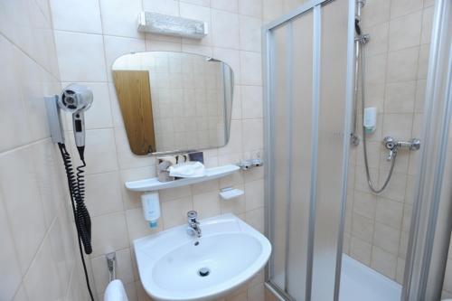 ein Bad mit einem Waschbecken, einer Dusche und einem Spiegel in der Unterkunft Hotel Reischenau in Ustersbach