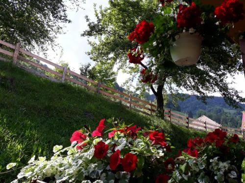 a bunch of flowers in front of a fence at Casa Lucia in Dămuc