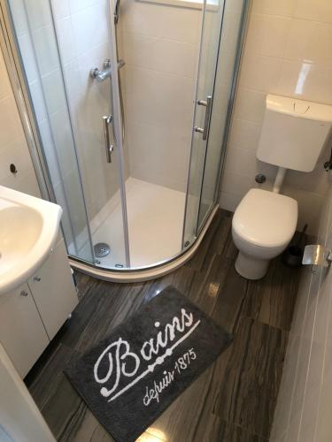 a bathroom with a shower and a toilet and a rug at Villa Maria in Šilo