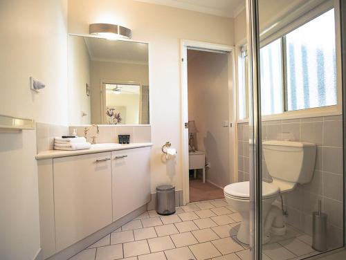 a bathroom with a toilet and a sink and a mirror at The Birch House - Silver Birches Accommodation Bright in Bright