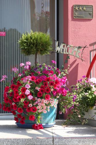 a large pot of flowers in front of a building at Hotel Bürger in Siegen
