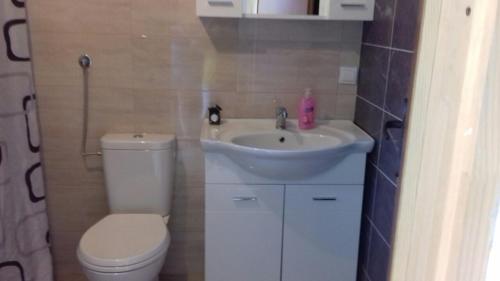 a small bathroom with a toilet and a sink at Apartman Strahinja in Tivat