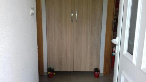 a hallway with two potted plants in front of a cabinet at Apartman Strahinja in Tivat