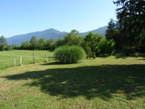 Un paisaje natural cerca del departamento