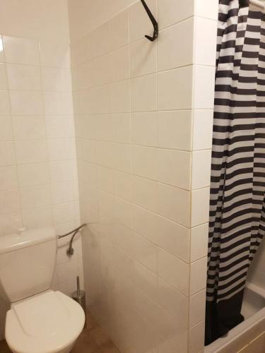 a bathroom with a toilet and a shower curtain at Knežicka chalupa in Vrchlabí
