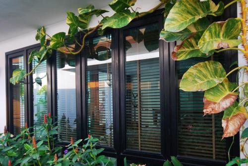 a row of windows with blinds and plants at Villa Labaron in Koh Samui 