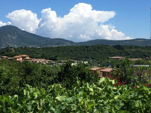 a view of a town from a field of plants at Borgo Piccolo in Cavaion Veronese