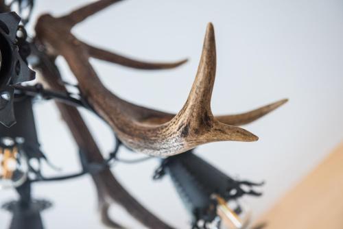 a pair of antlers hanging from a chandelier at Willa pod Orłem - Zakopane in Zakopane