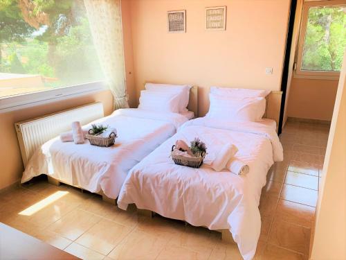 Gallery image of Ktima Anatoli Luxury Resort Residences in Nea Kalikratia