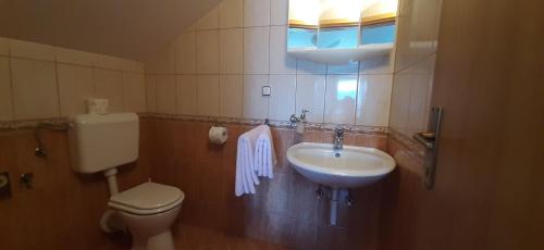a bathroom with a toilet and a sink at Rooms Jure Sabljak in Grabovac