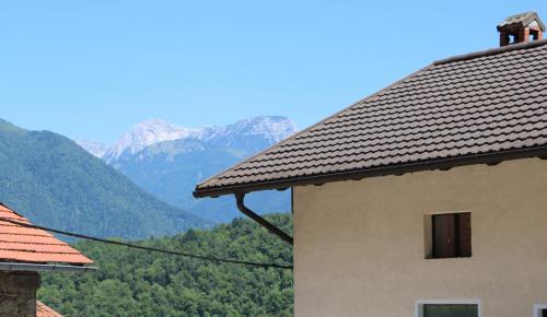 Φωτογραφία από το άλμπουμ του Apartment Olivia σε Čiginj