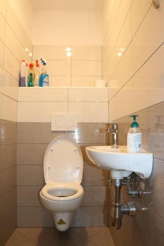 Φωτογραφία από το άλμπουμ του Apartment Olivia σε Čiginj