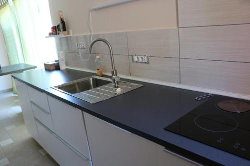 een keuken met een wastafel en een zwart aanrecht bij Apartment Olivia in Čiginj