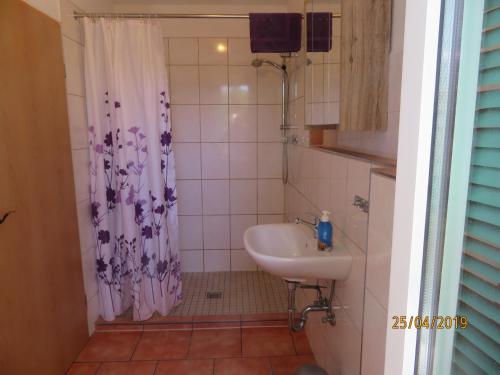a small bathroom with a sink and a shower at -Waldhaus-Fewo 4 in Granzow