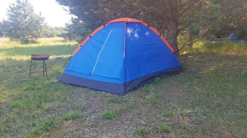 a blue and red tent and a grill in a field at SP camping Spāres Prieduļi in Nīca