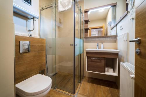 a bathroom with a shower and a toilet and a sink at Vila Valentina in Zlatibor