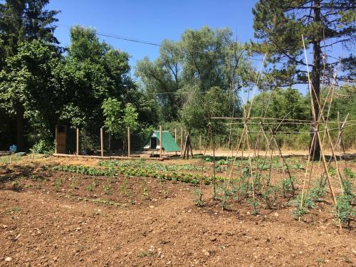 a garden with a tent in the background at B&B Calecatine in Rocca di Botte