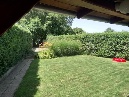 Zahrada ubytování Apartmány Denis