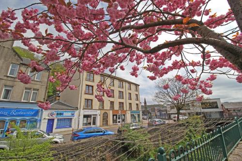a flowering tree with pink flowers on a city street at Six Stevenson House, Oban in Oban
