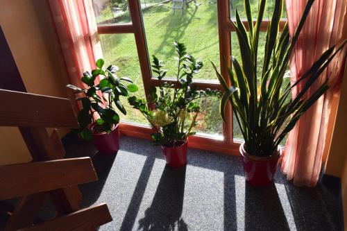 three potted plants sitting in front of a window at Pension Appartement Ambrosi in Heiligenblut