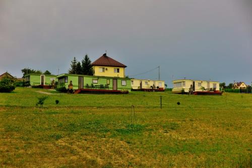 a group of houses in a field of grass at Leśny Zakątek Radocza in Radocza