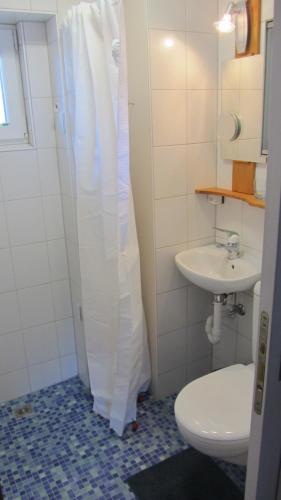 y baño con ducha, aseo y lavamanos. en Bahnhöfli Faulensee, en Faulensee