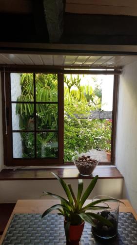 a plant sitting on a table in front of a window at Elescondite in Sauzal
