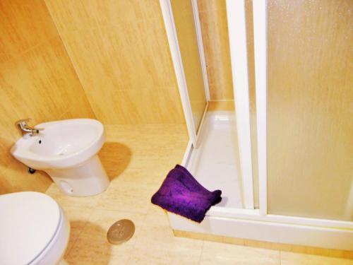 a bathroom with a toilet and a shower with a purple towel at Martin House & Granada in Granada