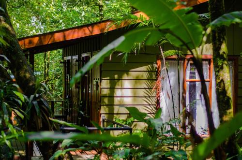 a shed in the woods with plants in the foreground at Jaguarundi Lodge - Monteverde in Monteverde Costa Rica