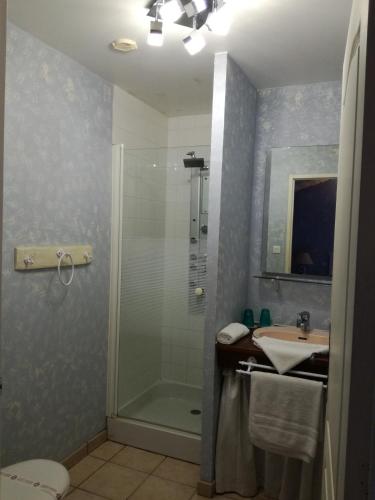 une salle de bain avec douche et lavabo dans l'établissement La Trainelière, aux Épesses