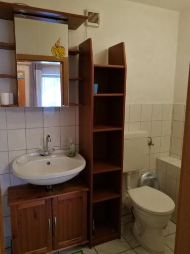Ferienwohnung zum Bergmannにあるバスルーム