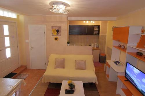 Μια τηλεόραση ή/και κέντρο ψυχαγωγίας στο Apartment Tancabel