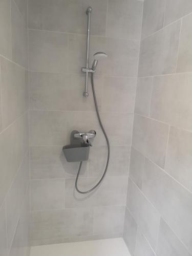 a shower with a shower head in a bathroom at Cottage AU TERMINUS 2 climatisé in Hautvillers