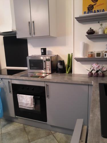 La cuisine est équipée d'un four micro-ondes et d'une cuisinière. dans l'établissement L'appart, à Reims