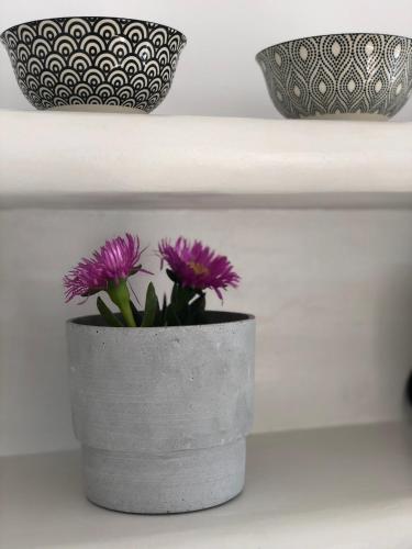 two purple flowers in a gray pot on a shelf at Harmony Luxury Villas Naxos in Naxos Chora