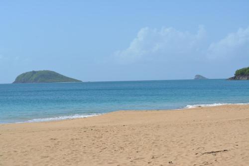 a sandy beach with a view of the ocean at Middle Country 97-1 "la recette du bonheur" in Deshaies