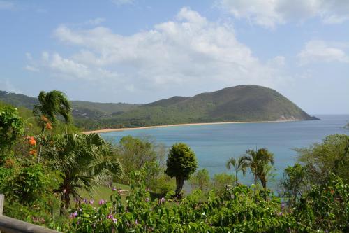 a view of a body of water with a mountain at Middle Country 97-1 "la recette du bonheur" in Deshaies