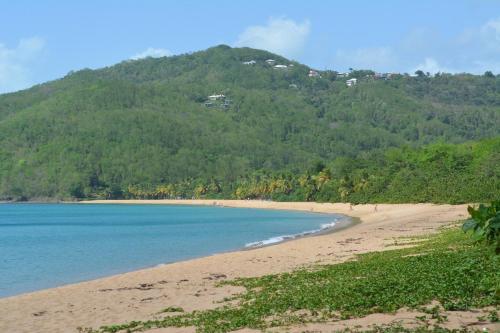 a view of a beach with a mountain in the background at Middle Country 97-1 "la recette du bonheur" in Deshaies