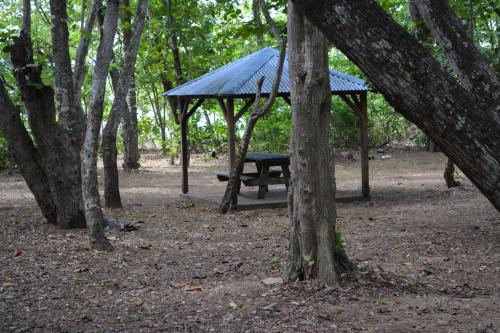 a picnic shelter with a picnic table in the woods at Middle Country 97-1 "la recette du bonheur" in Deshaies