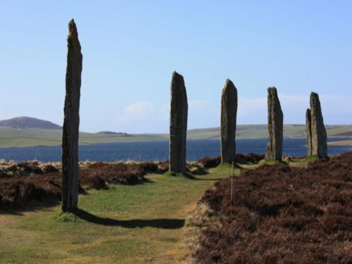 a row of cypress trees on a hill near the water at Karrawa Guest House in Kirkwall