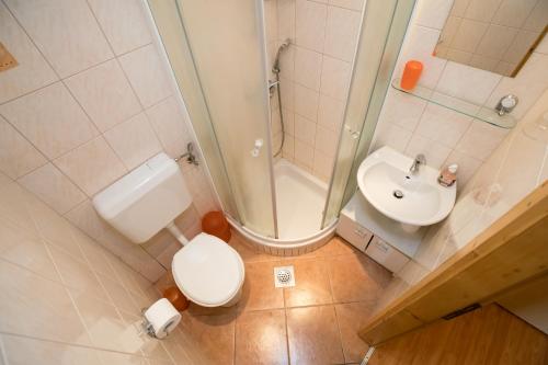 a bathroom with a shower and a toilet and a sink at APARTMA KAMNJE in Bohinj