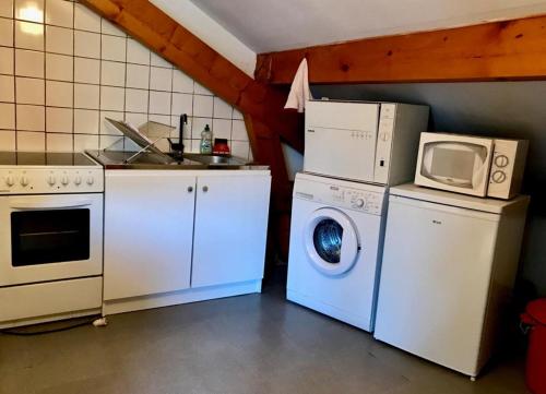 a kitchen with a washing machine and a microwave at L'Ancolie in Le Reposoir