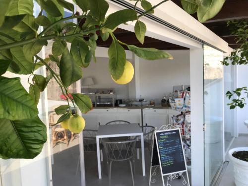 a kitchen and dining room with a table and a plant at Viestemare Resort & SPA in Vieste