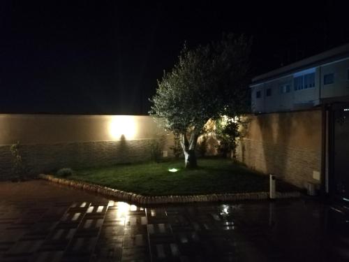 a tree in front of a building at night at B&B Villa Venere in Taranto